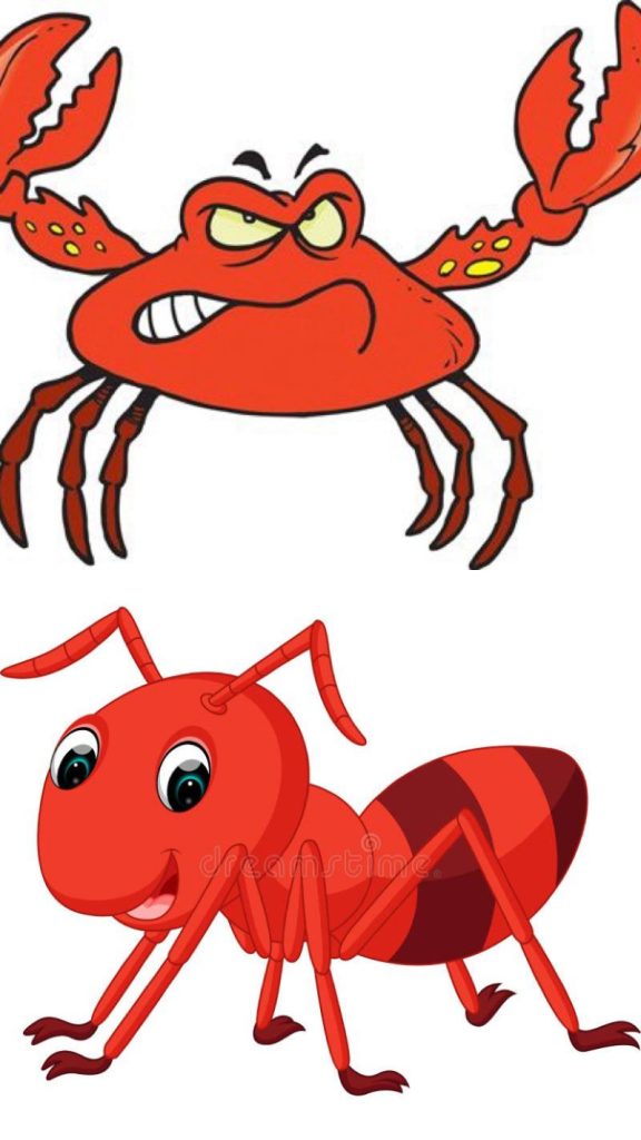 Crab or Ant